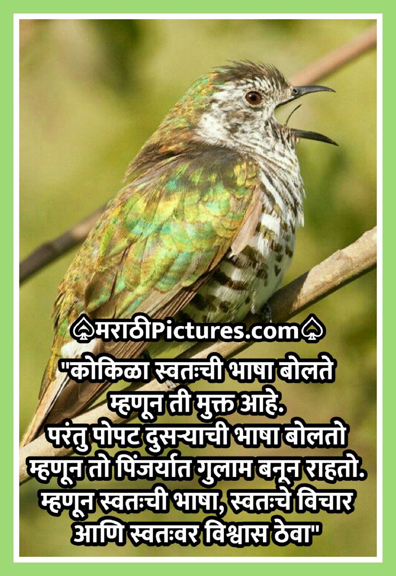 Inspirational Suvichar
