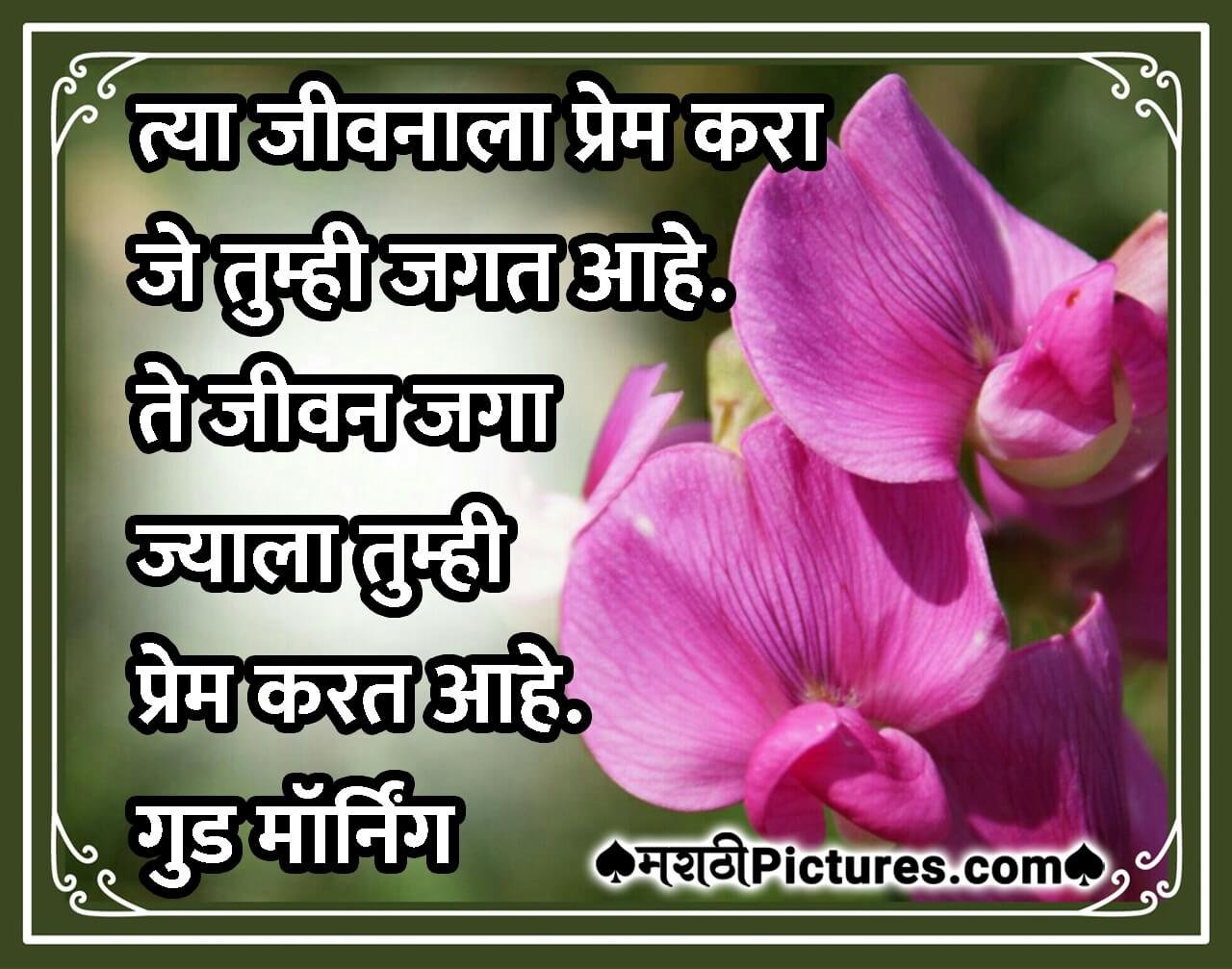 Good Morning – Dawat Bhijlelya Phulanchya Paklya - MarathiPictures.com