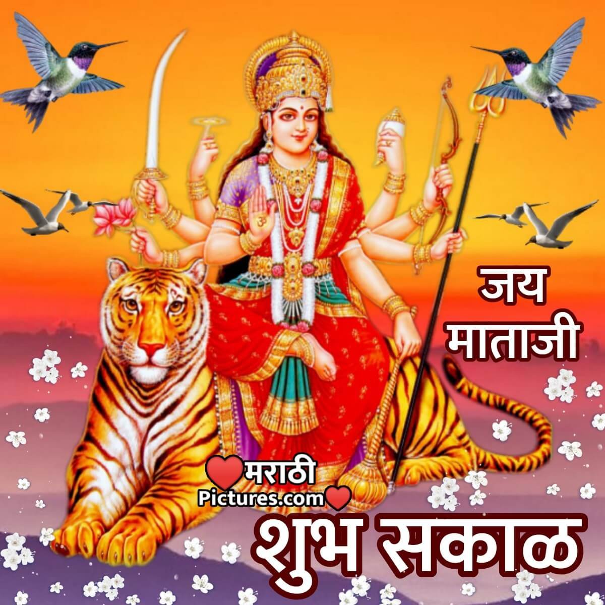 Shubh Sakal Jai Mata Ji