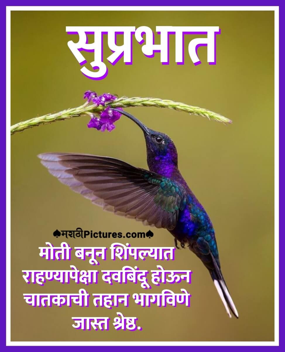 Best Suprabhat Marathi Suvichar