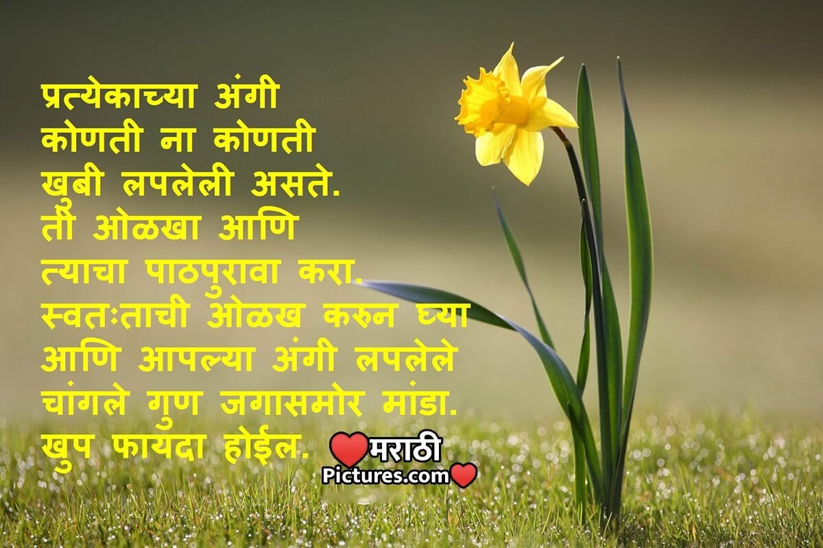 Motivational Marathi Quote