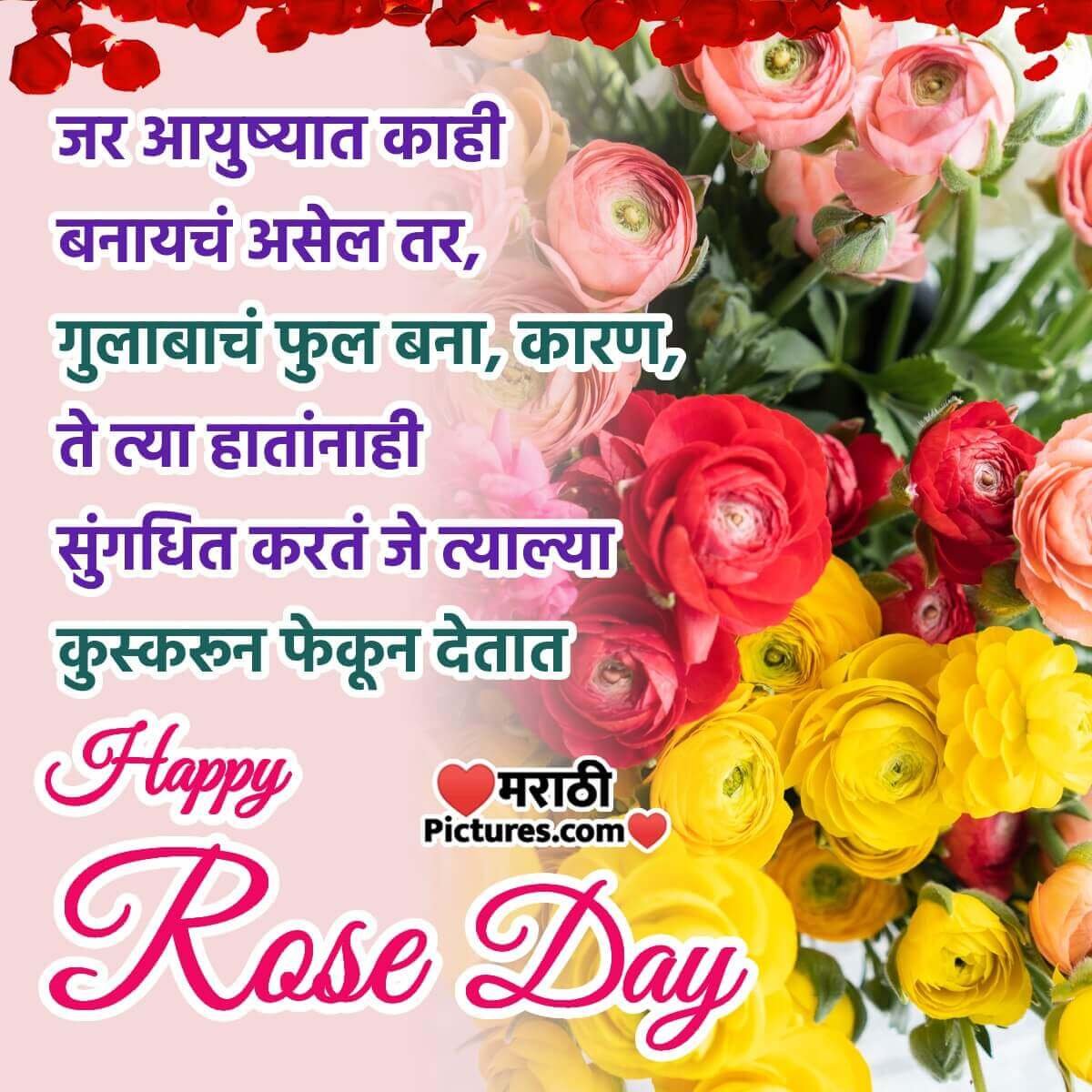 Happy Rose Day Greeting Photo